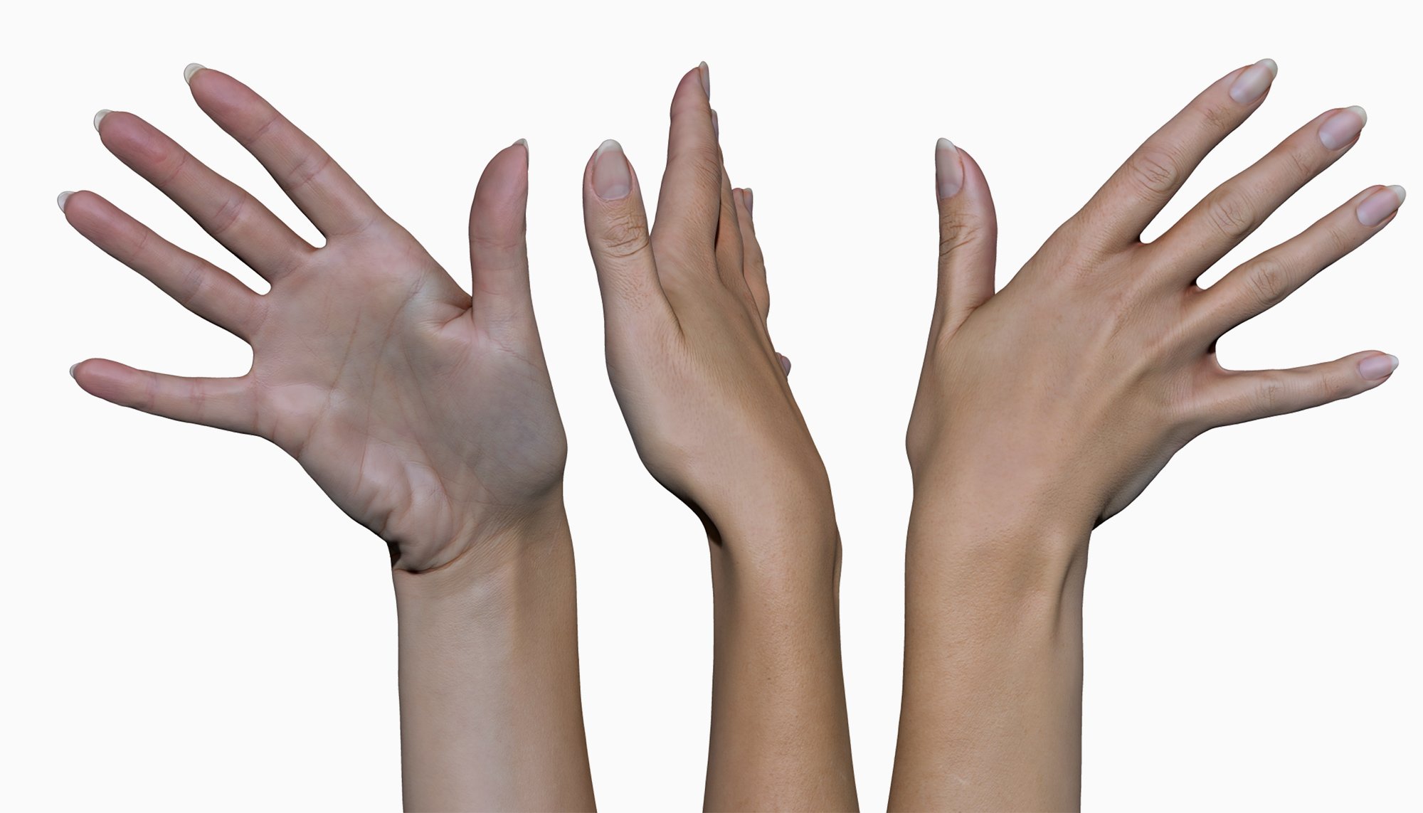 11 x Female 3D Hand Scans